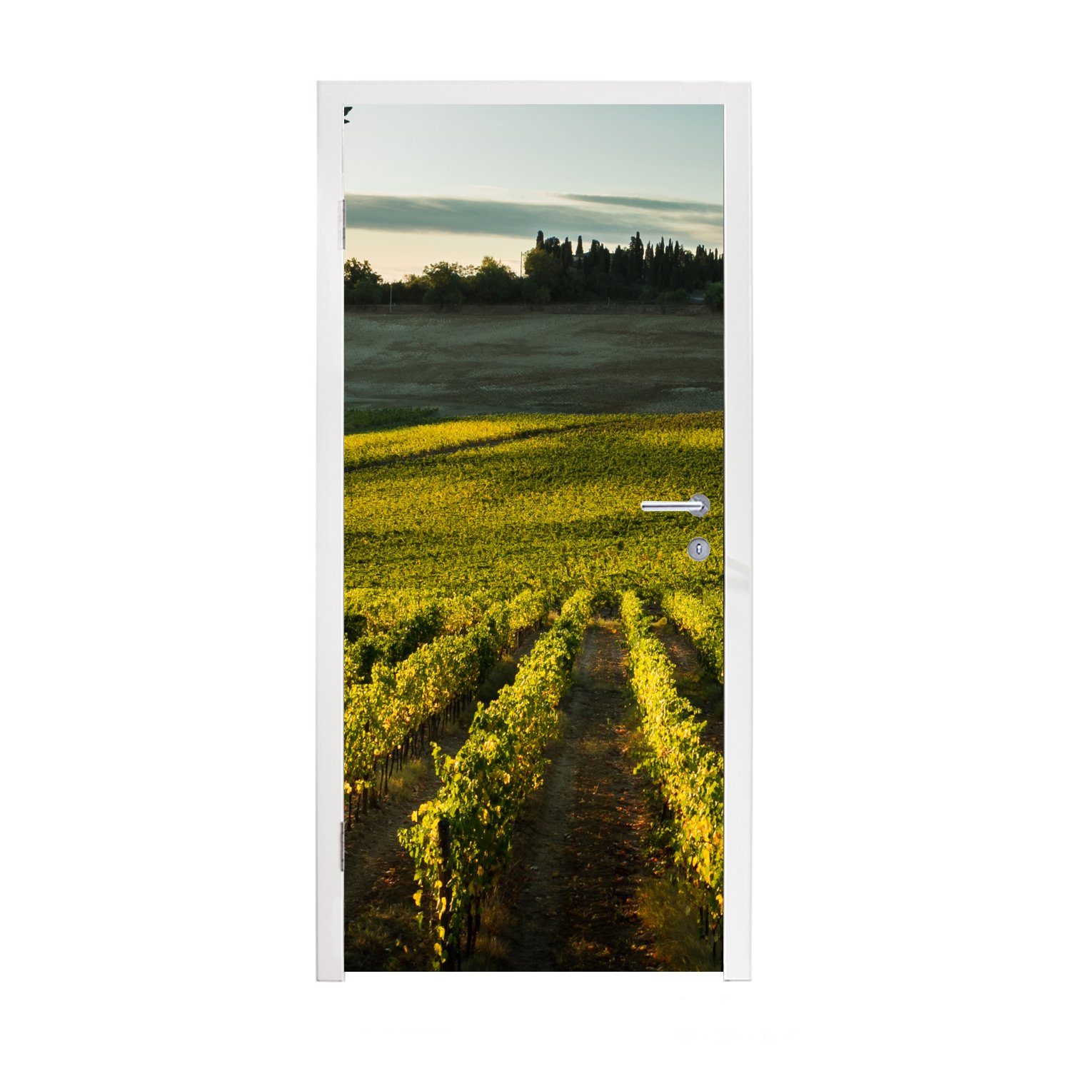 - (1 St), Wein, Fototapete Toskana Tür, 75x205 MuchoWow Matt, für Türaufkleber, cm Landschaft bedruckt, Türtapete -