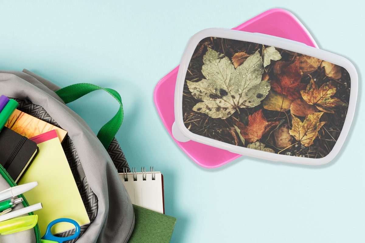 für - - Mädchen, Herbst (2-tlg), Erwachsene, Brotdose rosa Jahreszeiten - Lunchbox Kunststoff, Kinder, Snackbox, Kunststoff Herbstblätter MuchoWow Brotbox Natur,
