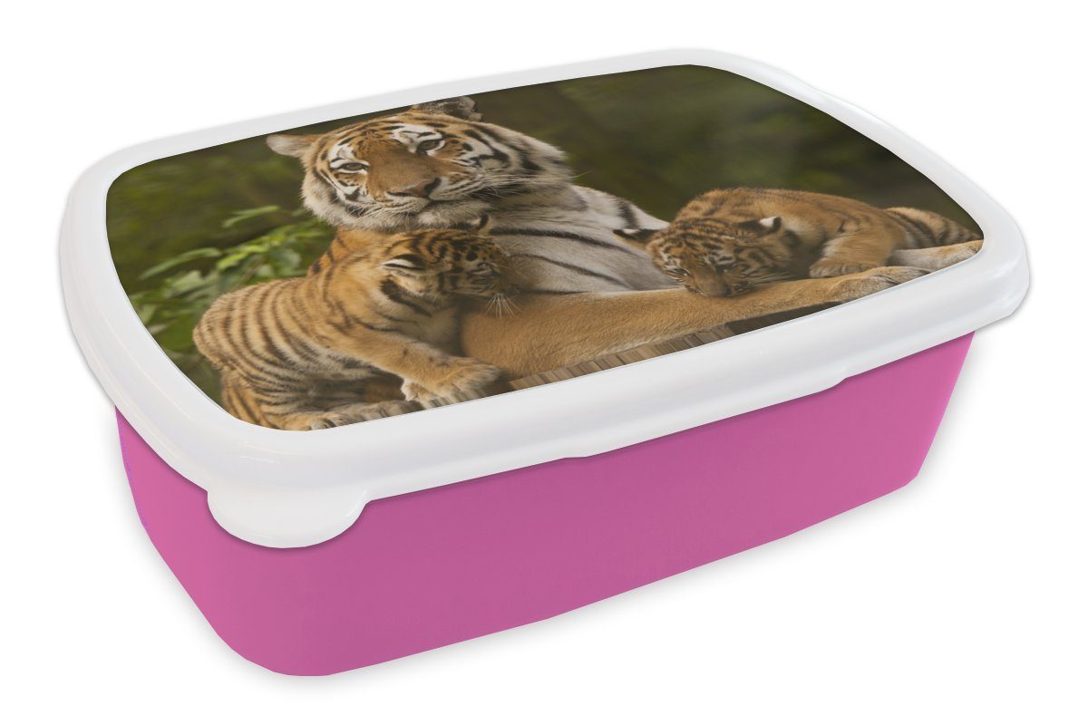 MuchoWow Lunchbox Tiger - Jungtiere - Natur, Kunststoff, (2-tlg), Brotbox für Erwachsene, Brotdose Kinder, Snackbox, Mädchen, Kunststoff rosa