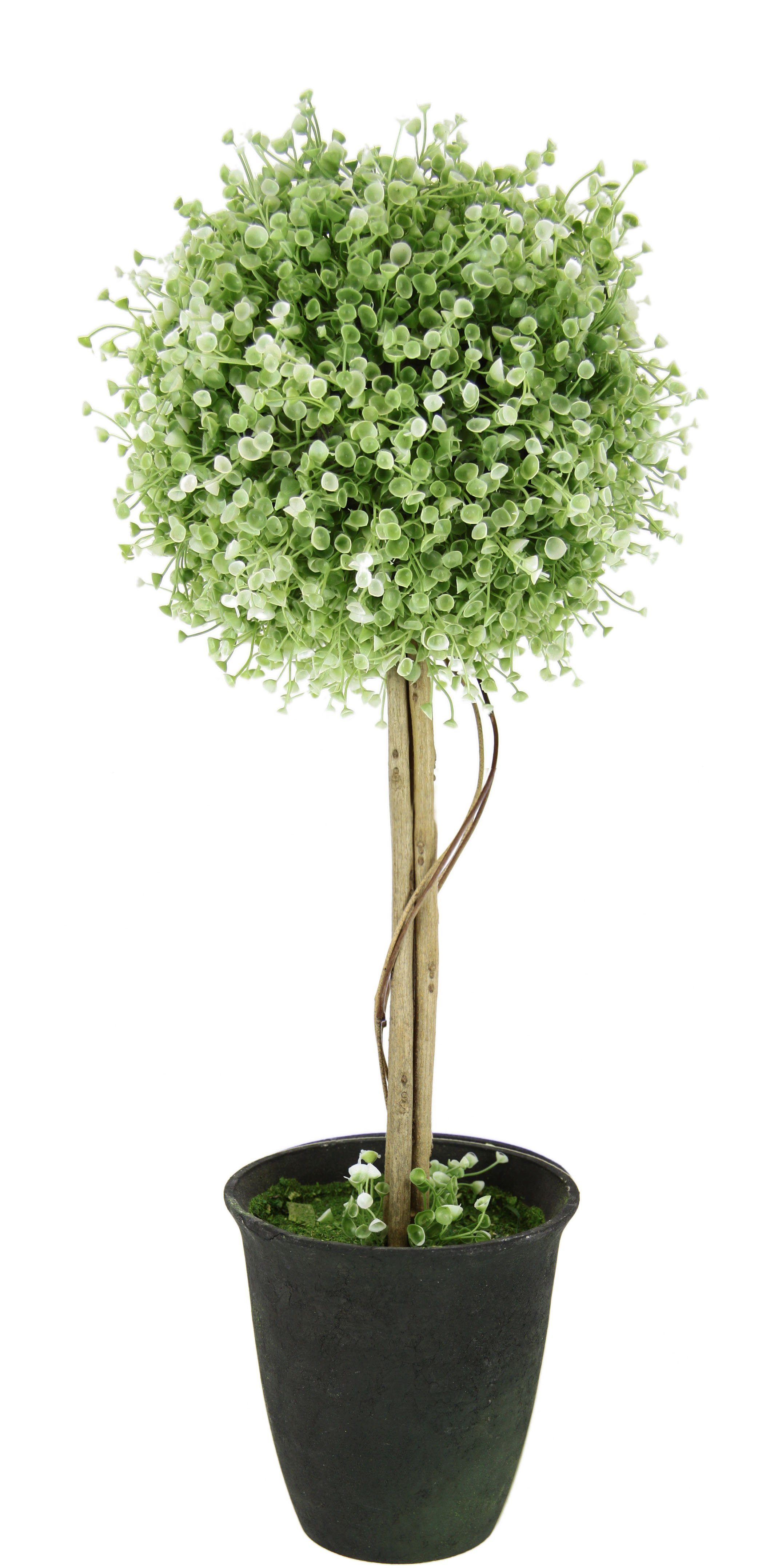 Kunstbaum Buchskugelbaum, I.GE.A., Höhe 60 cm, im Kunststofftopf