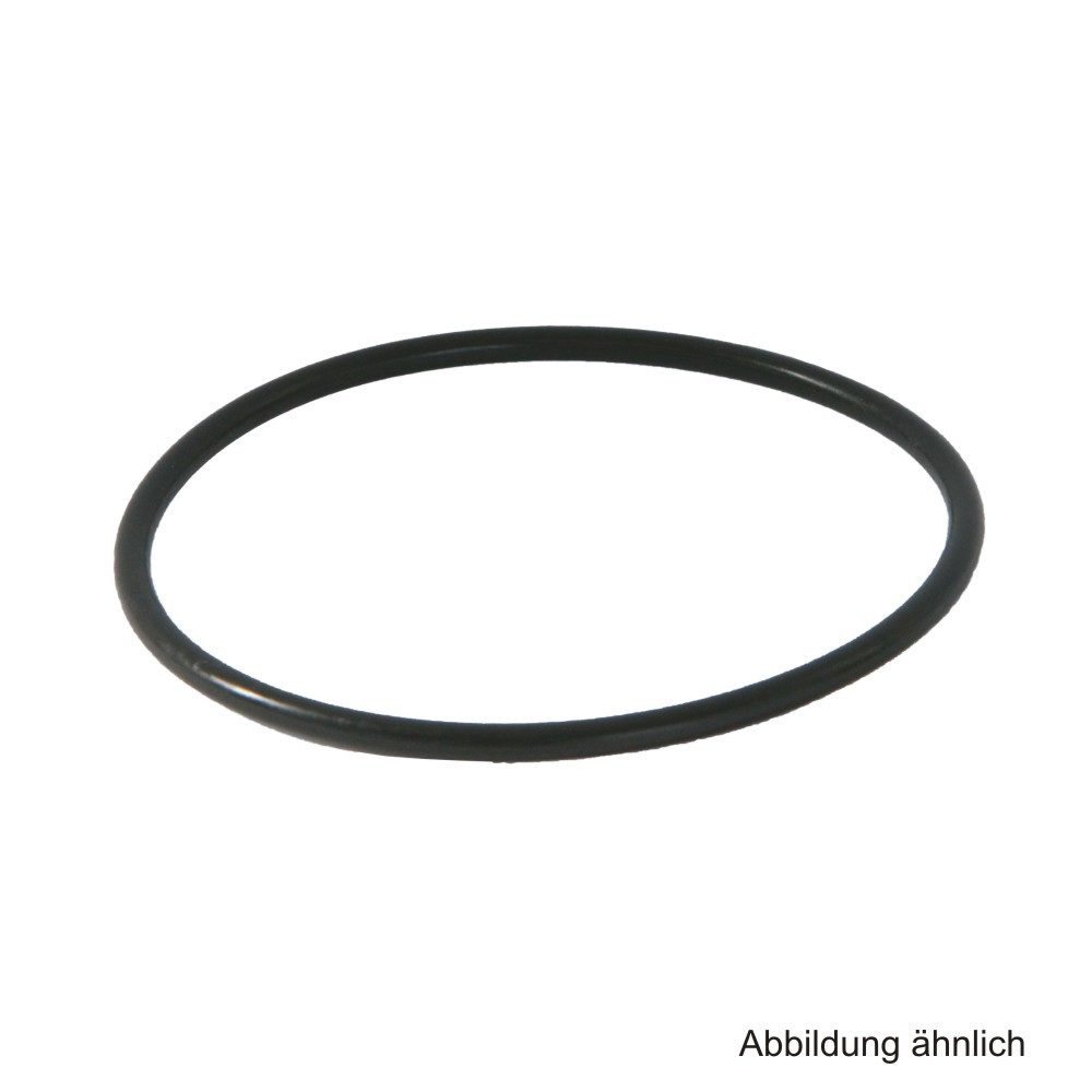 SYR Kalk- und Wasserfilter SYR Ersatzteile Drufi Filtertassen-O-Ring, 2315.00.936