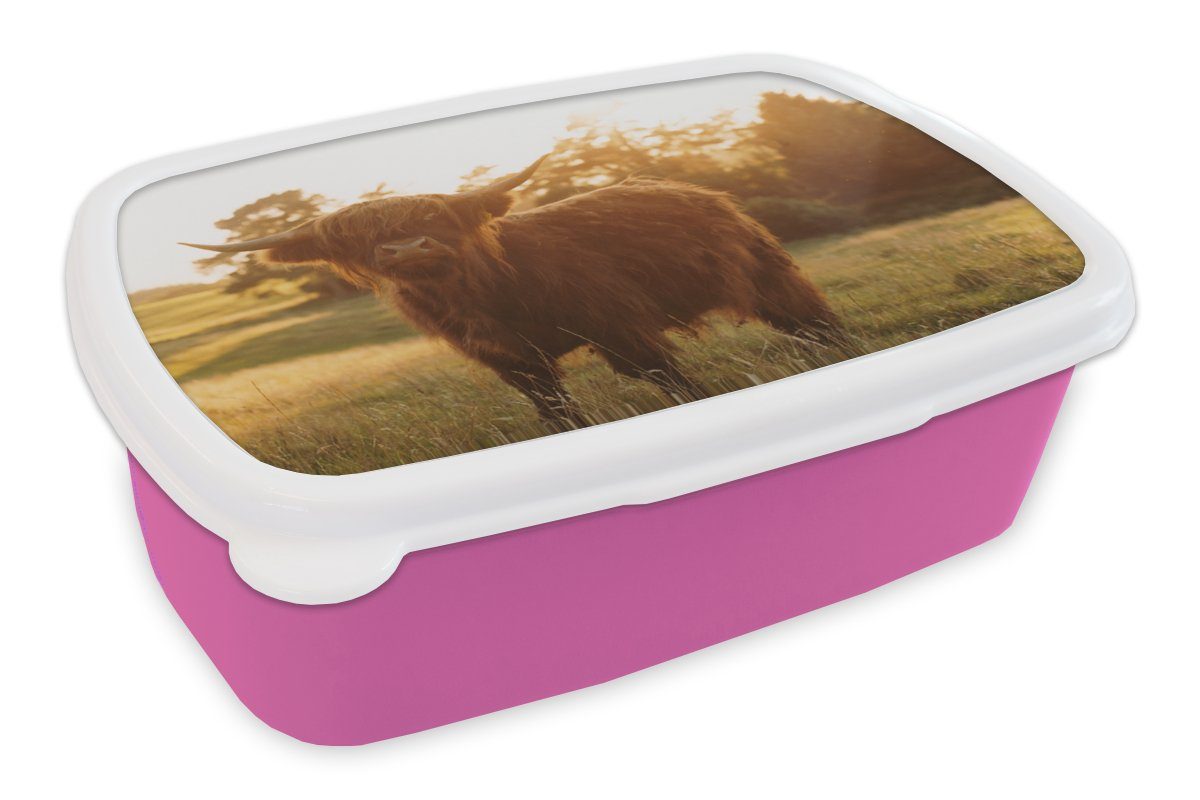 MuchoWow Lunchbox Schottischer Hochländer - Gras - Sonne, Kunststoff, (2-tlg), Brotbox für Erwachsene, Brotdose Kinder, Snackbox, Mädchen, Kunststoff rosa
