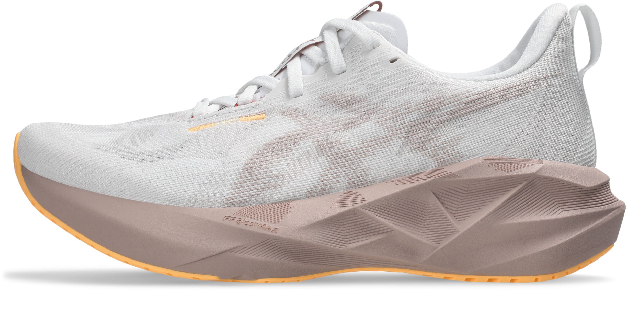 Asics NOVABLAST 5 WHITE/FAWN Laufschuh günstig online kaufen