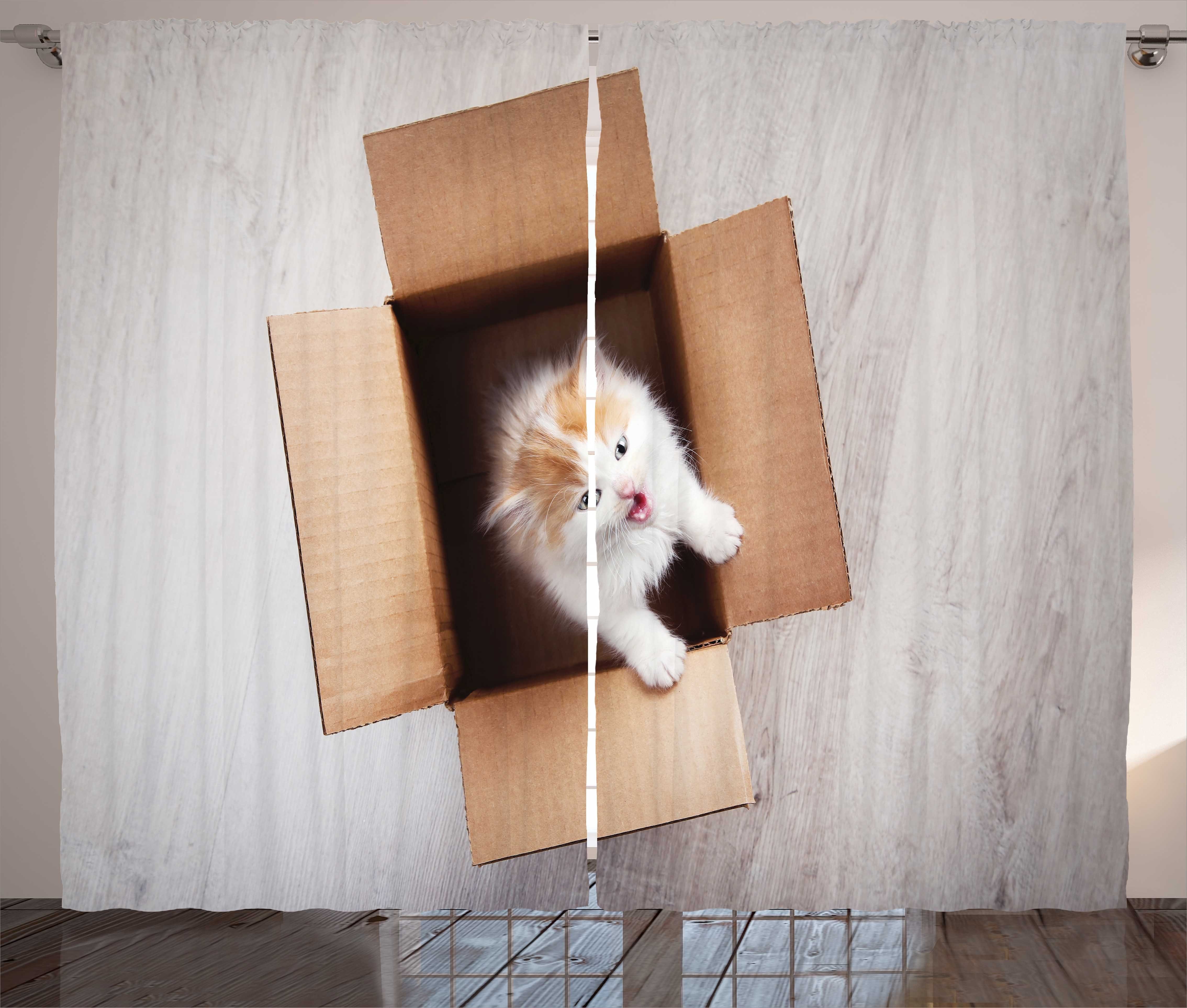 Gardine Schlafzimmer Kräuselband Vorhang mit Schlaufen und Haken, Abakuhaus, Kätzchen Katze in einem Karton | Fertiggardinen