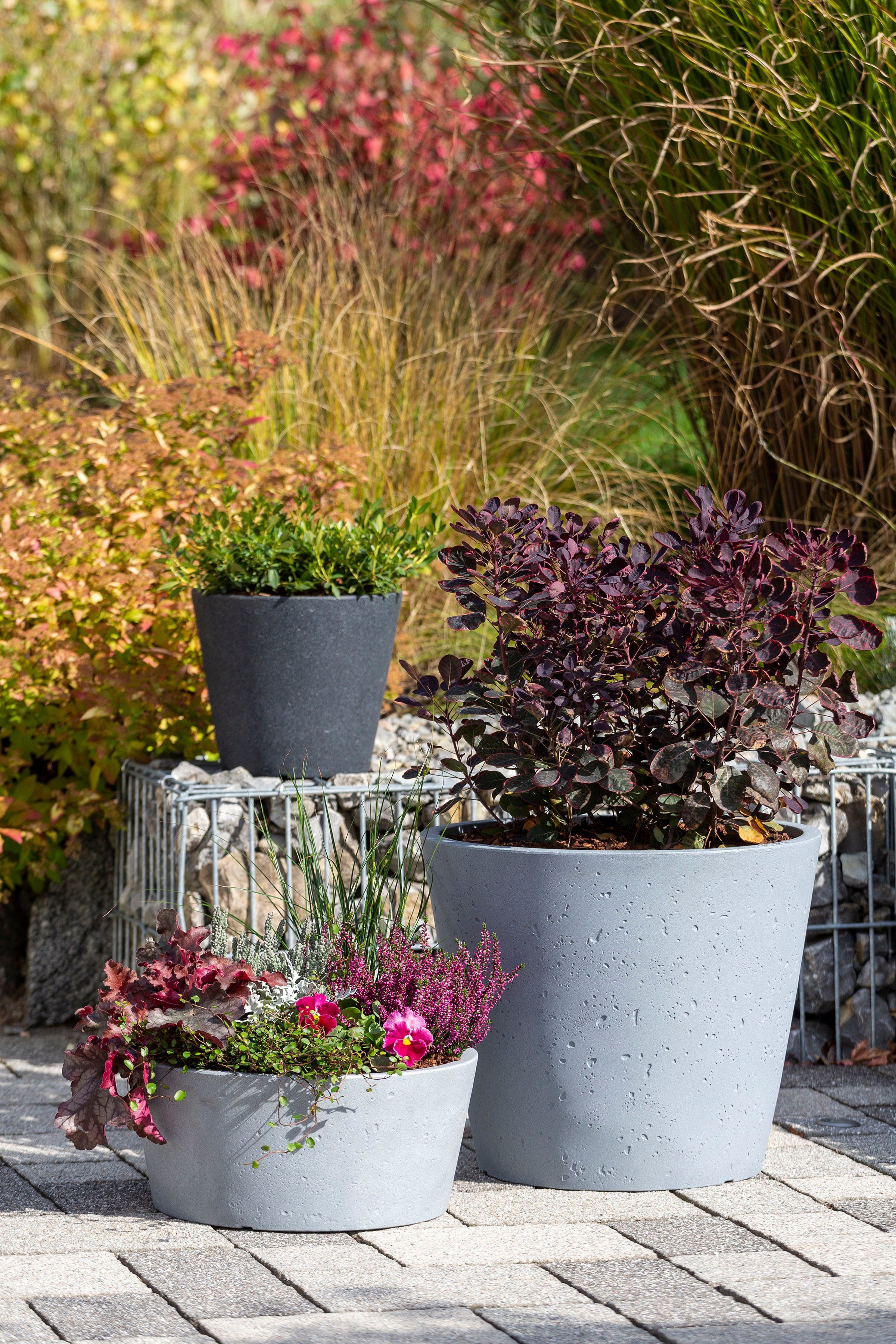 Scheurich Blumentopf 30/238 C-CONE 30 günstig online kaufen