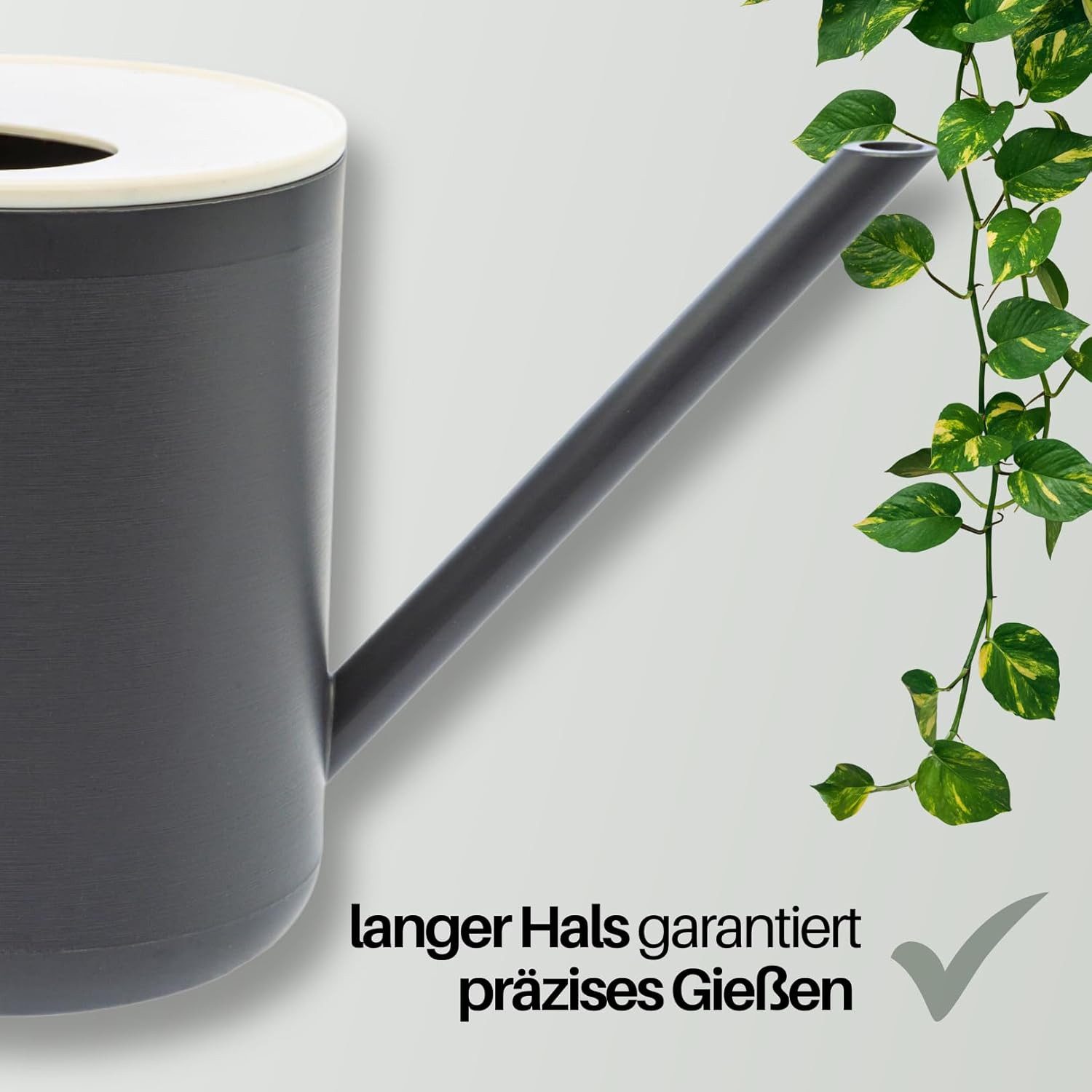homiez Gießkanne MUG 0,9 ltr. oder 1,5 ltr. in verschiedenen Farben