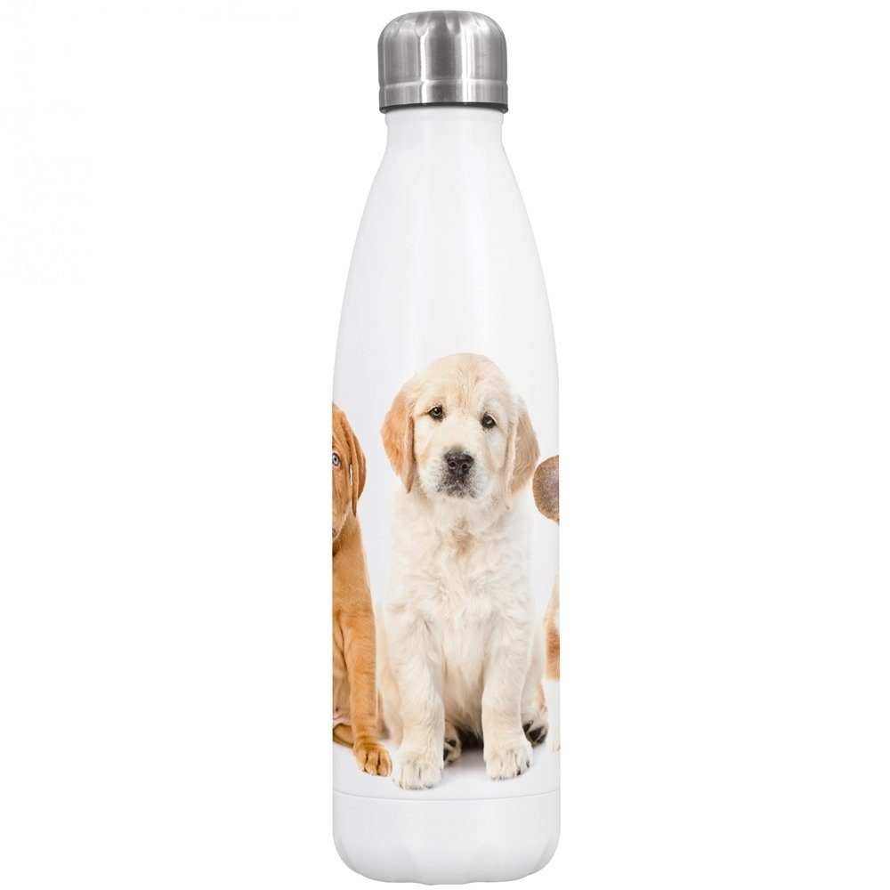 Dora's Trinkflasche Dora's Edelstahl Thermoflasche Hund 500ml