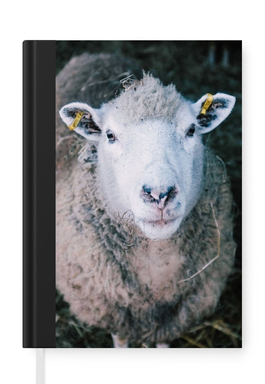 MuchoWow Notizbuch Schafe - Tiere - Rinder, Journal, Merkzettel, Tagebuch, Notizheft, A5, 98 Seiten, Haushaltsbuch