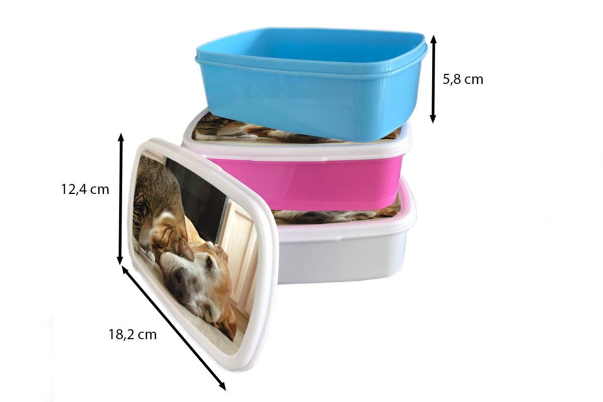 Tiere, - Lunchbox - und für MuchoWow Kunststoff, (2-tlg), Hund und Brotdose, Erwachsene, Kinder Brotbox Mädchen weiß für Jungs Katze