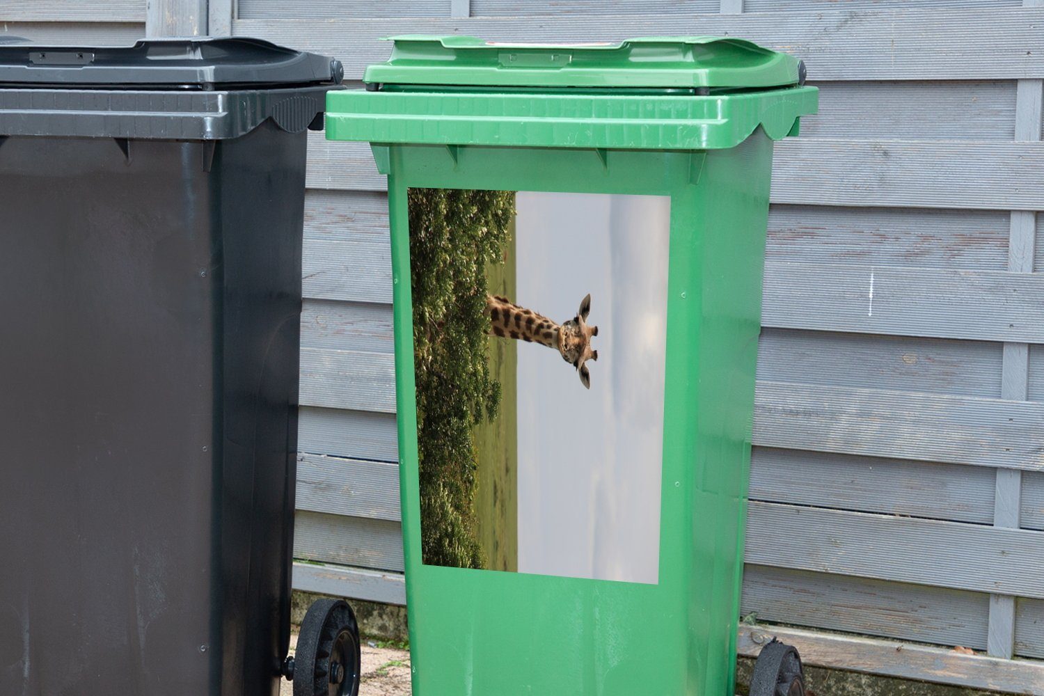 Eine Giraffe Container, gesichtet wird Abfalbehälter Mülltonne, Mülleimer-aufkleber, Safari MuchoWow St), einer (1 auf Wandsticker Sticker,