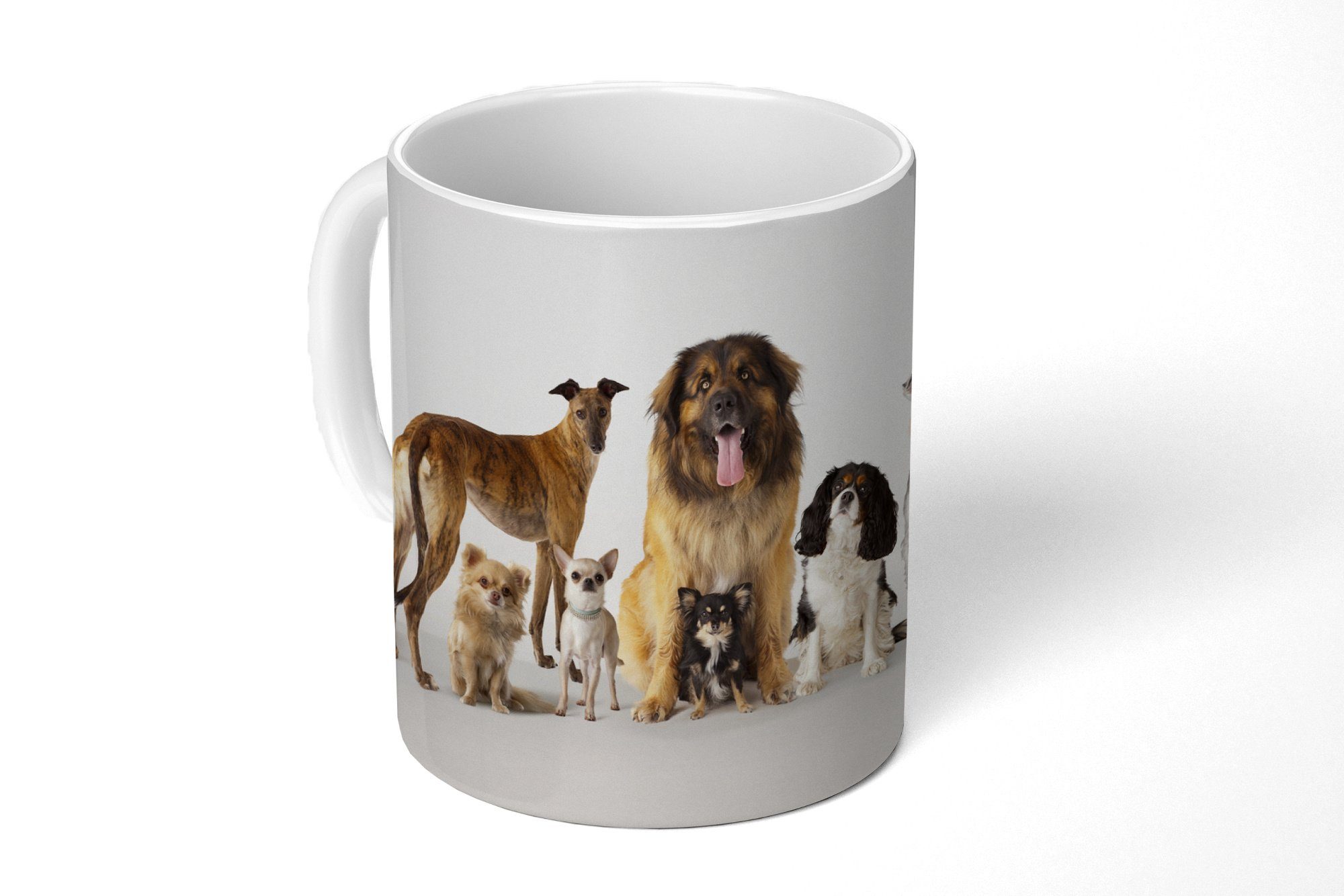 MuchoWow Tasse Gruppenbild von Hunden, Keramik, Kaffeetassen, Teetasse, Becher, Teetasse, Geschenk