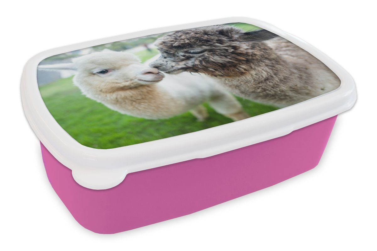 Erwachsene, rosa Liebe für Lunchbox Brotdose Mädchen, Alpaka - Snackbox, Stofftier, - (2-tlg), MuchoWow Brotbox Kunststoff, Kunststoff Kinder,