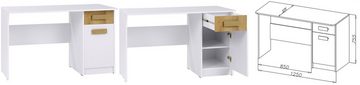 Marmex Möbel Schrank-Set Grant Mini, (SET, Kleiderschrank, Schreibtisch mit Verlängerung), Scharniere mit Soft-Close