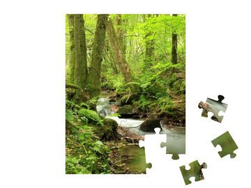 puzzleYOU Puzzle Bach, Odenwald, Ulfenbach, 48 Puzzleteile, puzzleYOU-Kollektionen