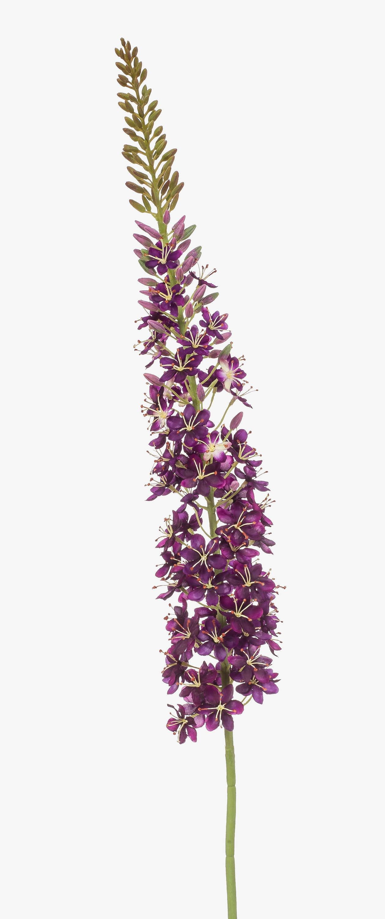 Kunstblume Künstliche Blume Steppenkerze NITTI, violett, 130cm Steppenkerze, artplants, Höhe 130.0 cm