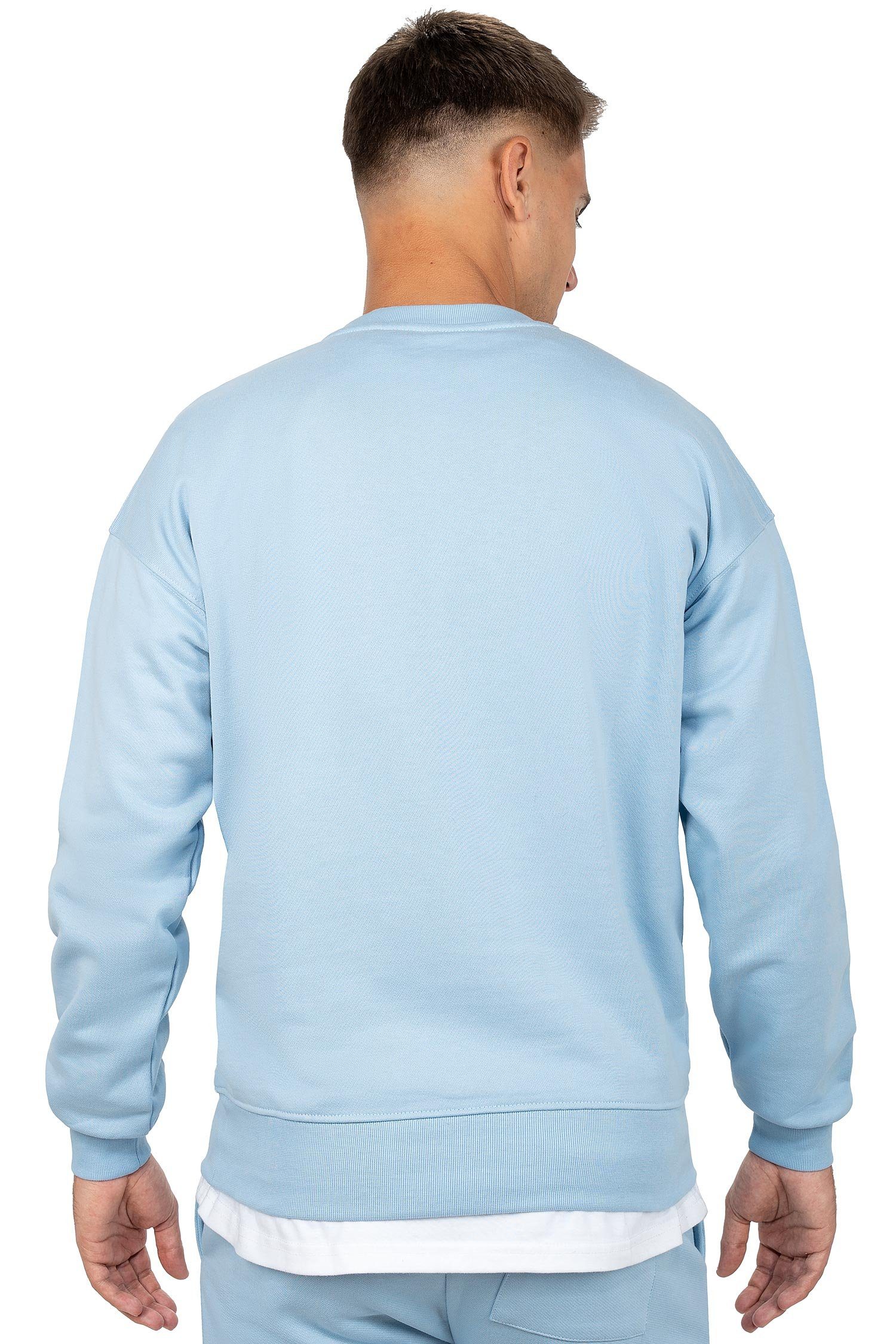 Reichstadt Sweatshirt Casual Basic Details Pullover 23RS037 Hellblau (1-tlg) mit Eleganten