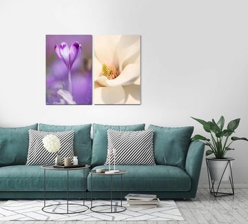 Sinus Art Leinwandbild 2 Bilder je 60x90cm Safran Krokus Frühling Weiße Tulpe Blumen Nahaufnahme Harmonisch