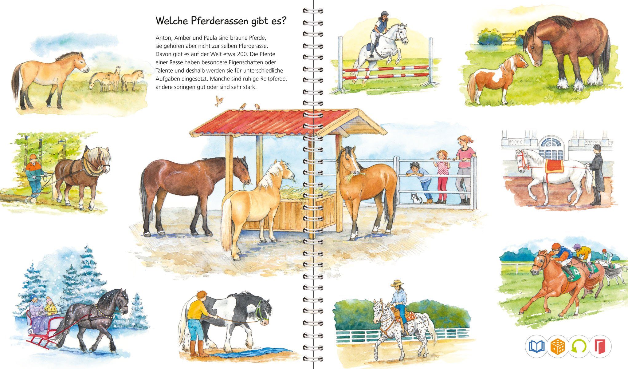 Ravensburger Kinderbuch tiptoi® Wieso? Weshalb? Warum? Wir entdecken Pferde und Ponys, Made in Europe