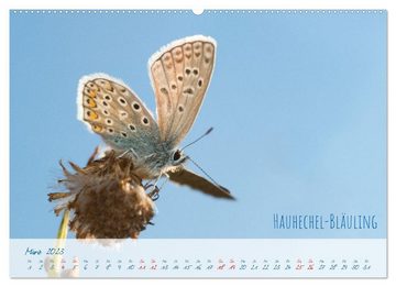 CALVENDO Wandkalender Schmetterlings-Glück (Premium, hochwertiger DIN A2 Wandkalender 2023, Kunstdruck in Hochglanz)