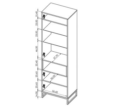 Furnix Standvitrine RELIO WIT60 Vitrine mit Metallgestell Weiß oder Artisan B60 x H202 x T40 cm