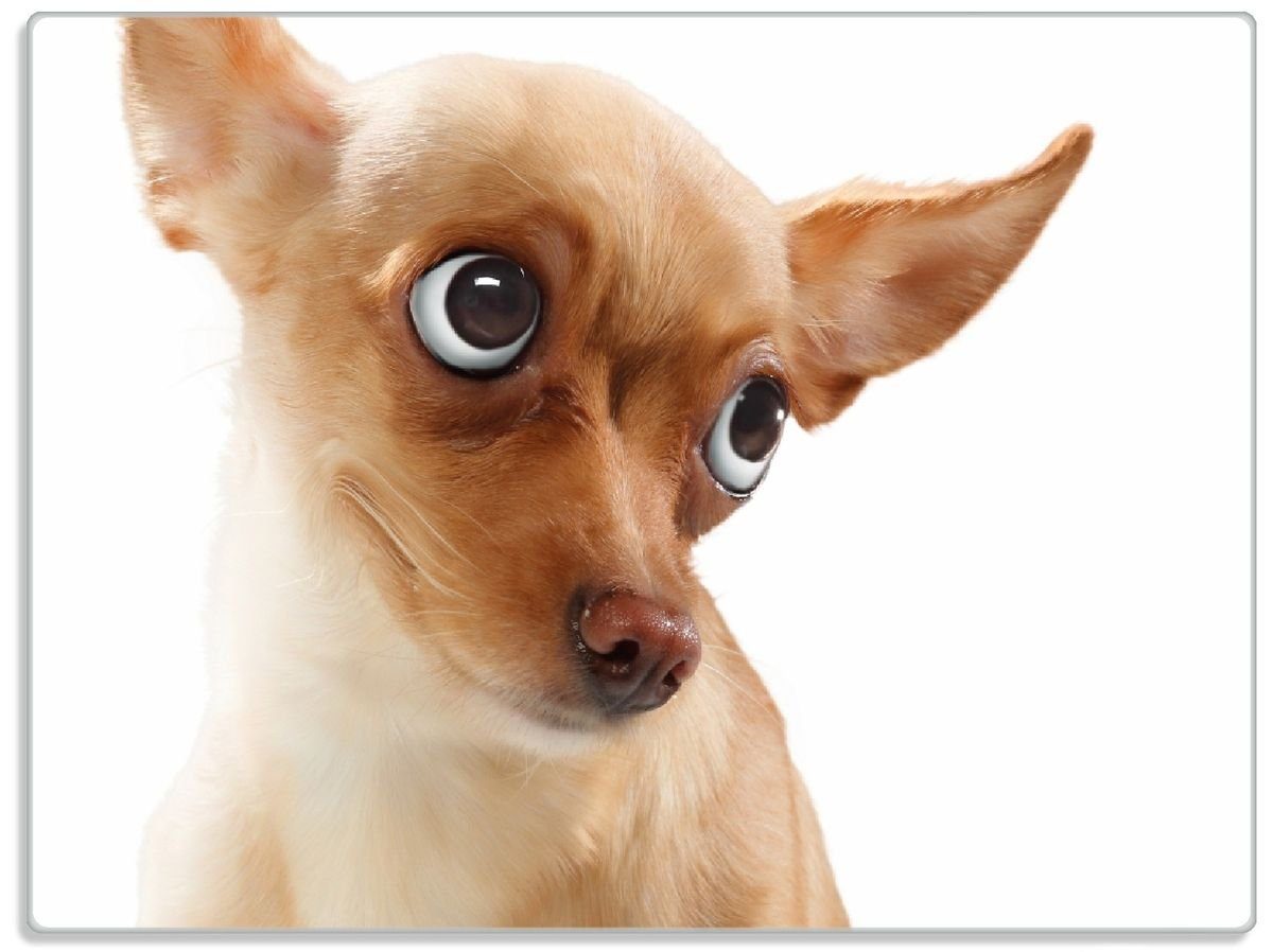 (inkl. 1-St), Hund rutschfester 4mm, Gummifüße Ohren, Schneidebrett fliegenden ESG-Sicherheitsglas, 30x40cm Wallario Lustiger mit