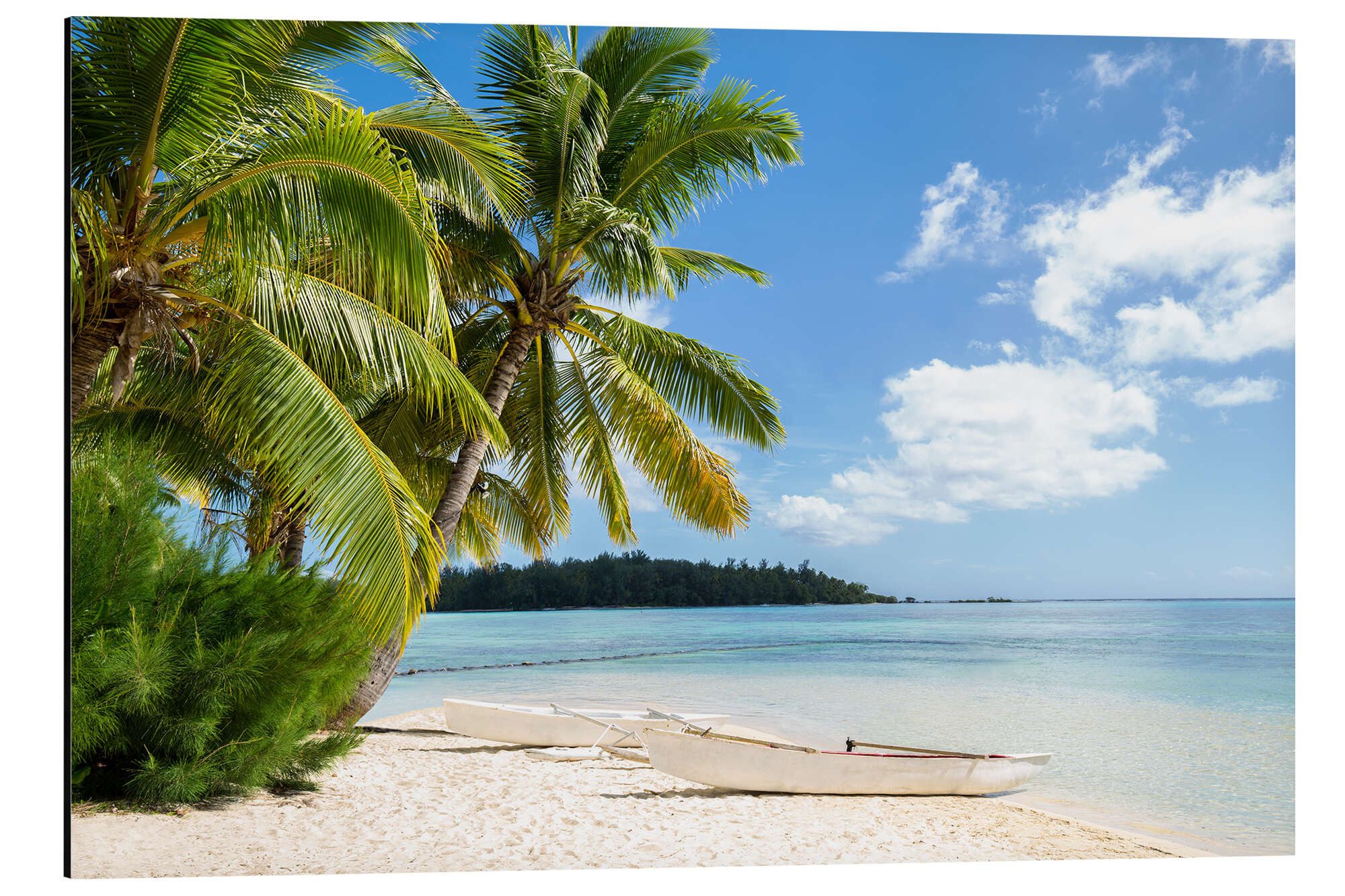 Posterlounge Wandbild Strand mit Palmen und türkisblauem Meer auf Tahiti, J günstig online kaufen