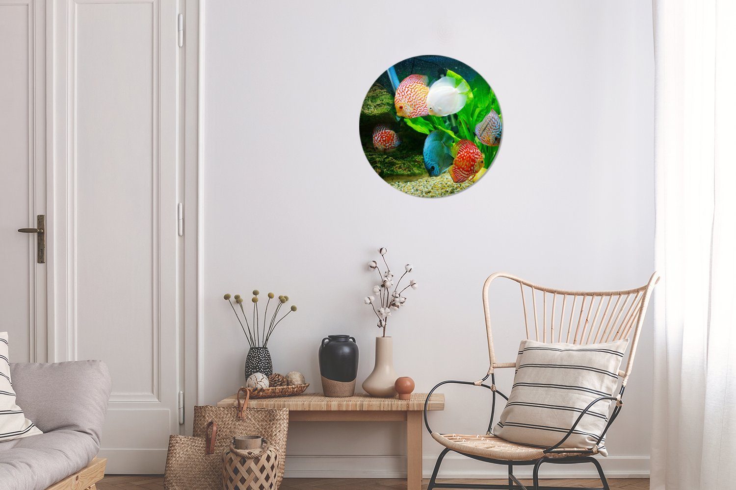St), Fische cm Rundes Kreis Forex, (1 einem 30x30 Wandbild, Wanddekoration Aquarium, in Gemälde MuchoWow Wohnzimmer,