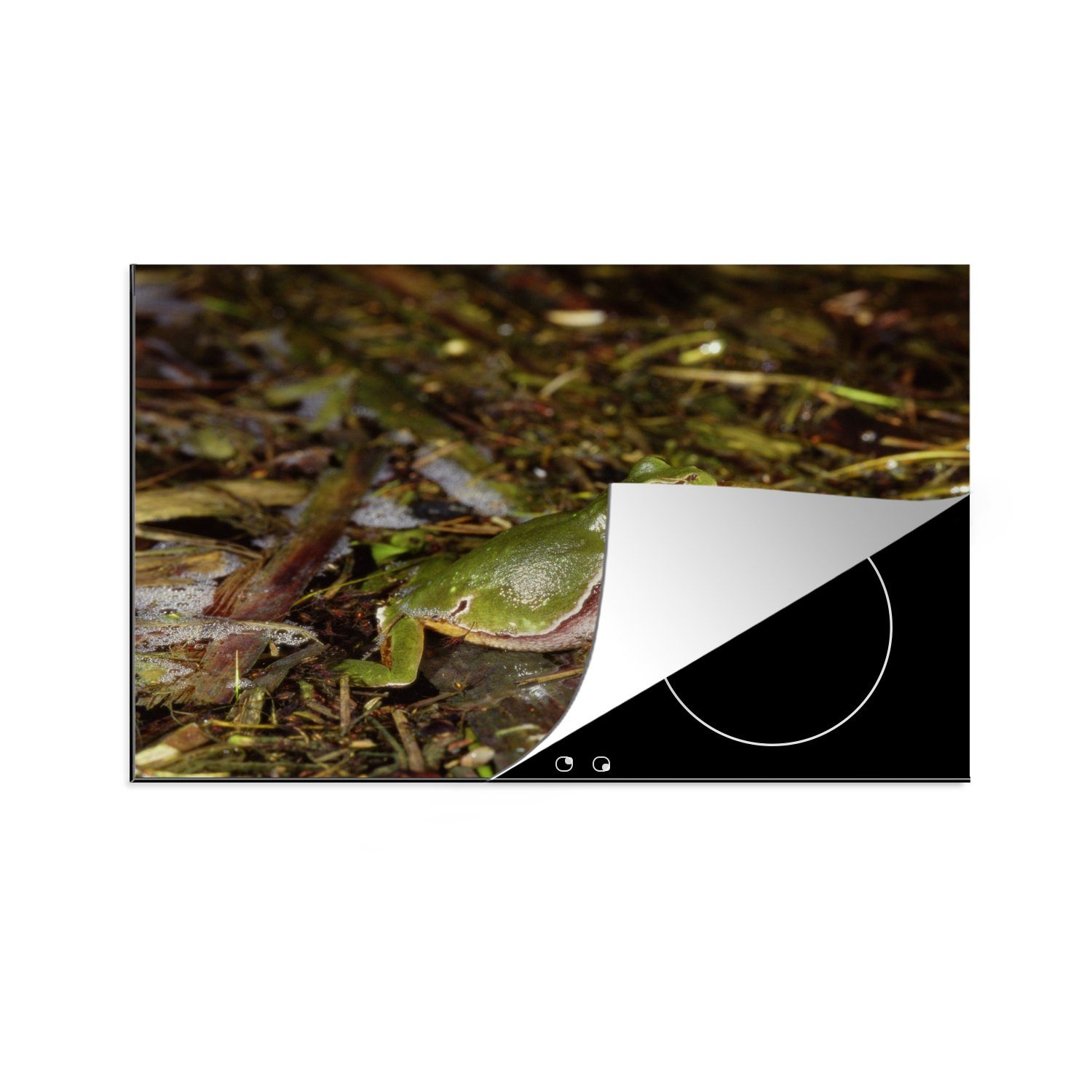 Schutz Frosch, die Quakender tlg), Induktionskochfeld Ceranfeldabdeckung Vinyl, (1 81x52 cm, Herdblende-/Abdeckplatte MuchoWow für küche,