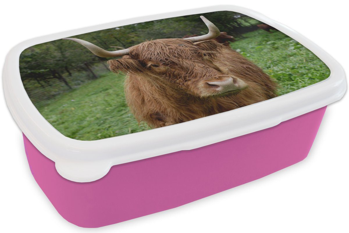 Snackbox, - MuchoWow rosa Schottische - Kunststoff Erwachsene, Kinder, Highlander (2-tlg), Brotbox Tiere Lunchbox für Gras, Mädchen, Brotdose Kunststoff,