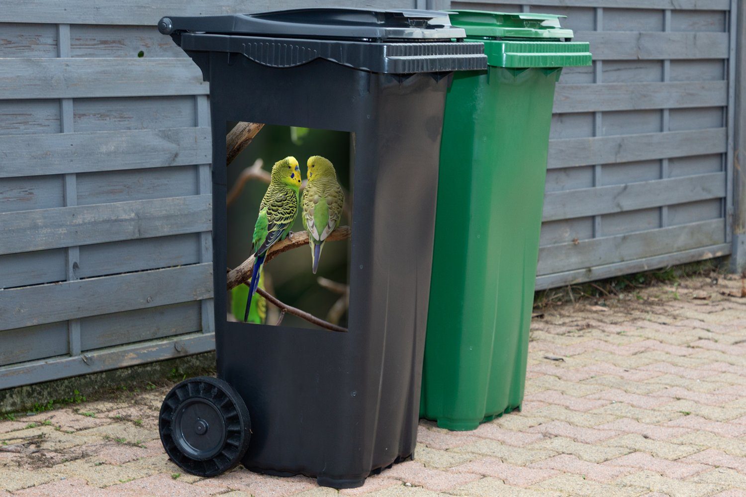 Abfalbehälter Mülltonne, St), Wandsticker Container, (1 MuchoWow Sittiche Sticker, Zwei in Mülleimer-aufkleber, einem Baum