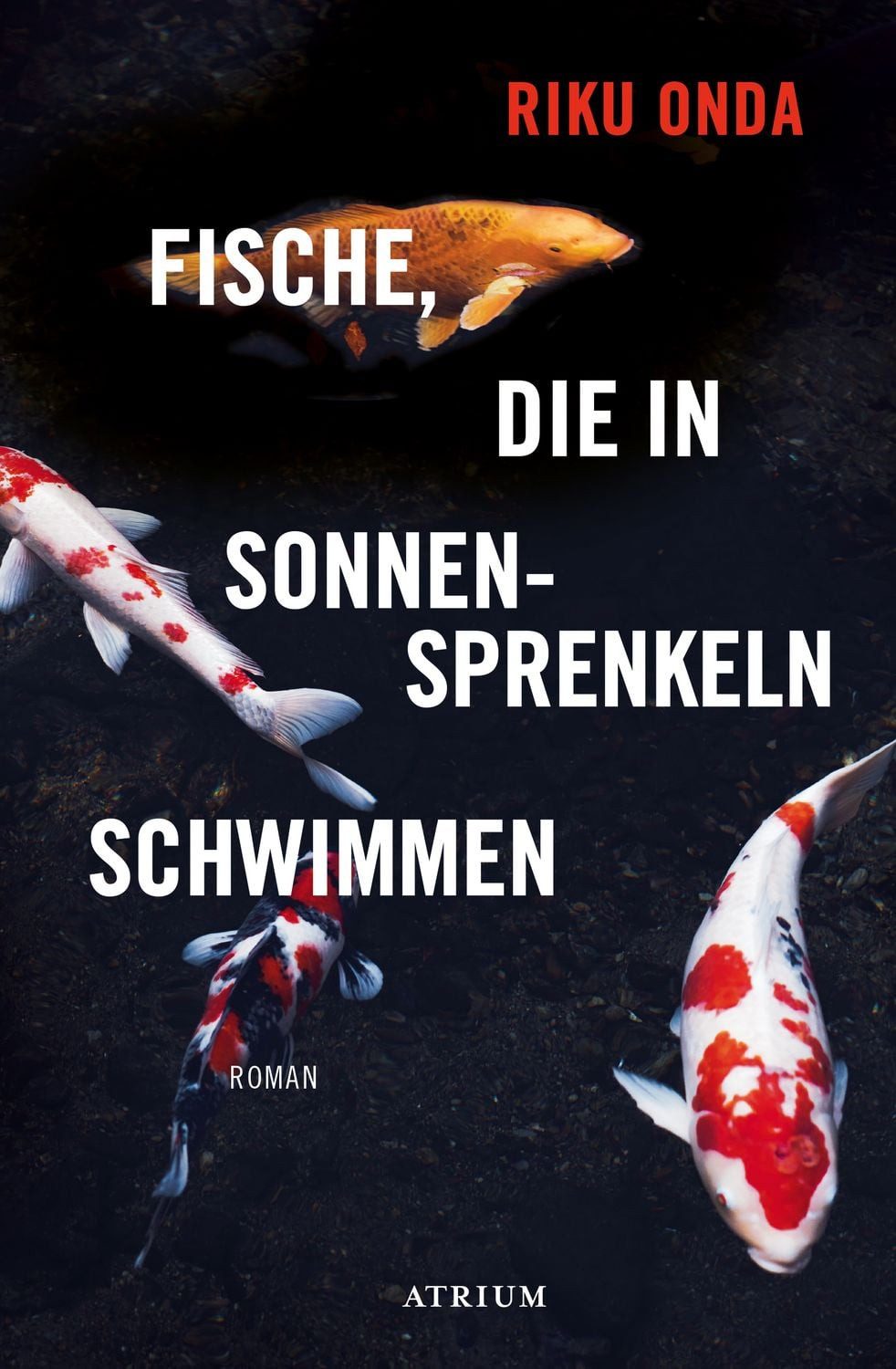 Fische, die in Sonnensprenkeln schwimmen / Riku Onda