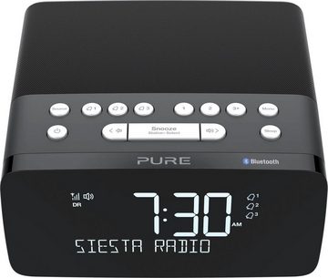 Pure Siesta Charge Digitalradio (DAB) (Digitalradio (DAB), FM-Tuner, 4 W)