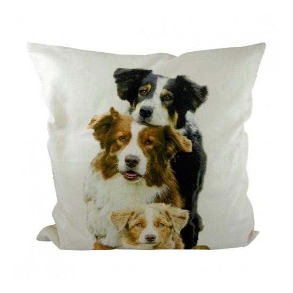 Mars & More Sofakissen 3 Border Collies 50x50, (1 St)