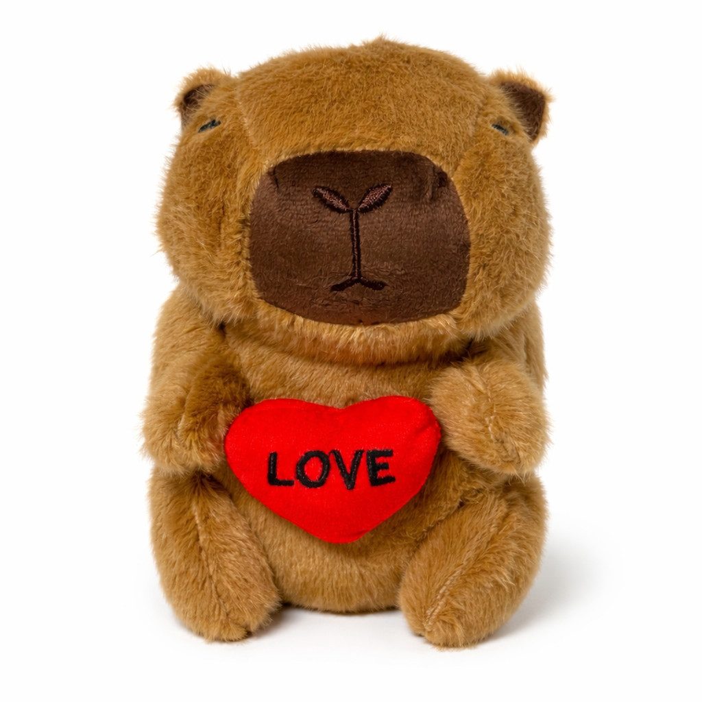 soma Kuscheltier Capybara Kuscheltier 20 cm Plüschtier niedliches Stofftier Tierfigur (Set, 1-St., Geschenk-Set), Mit Herz, Schwimmreifen oder Orange – drei niedliche Varianten