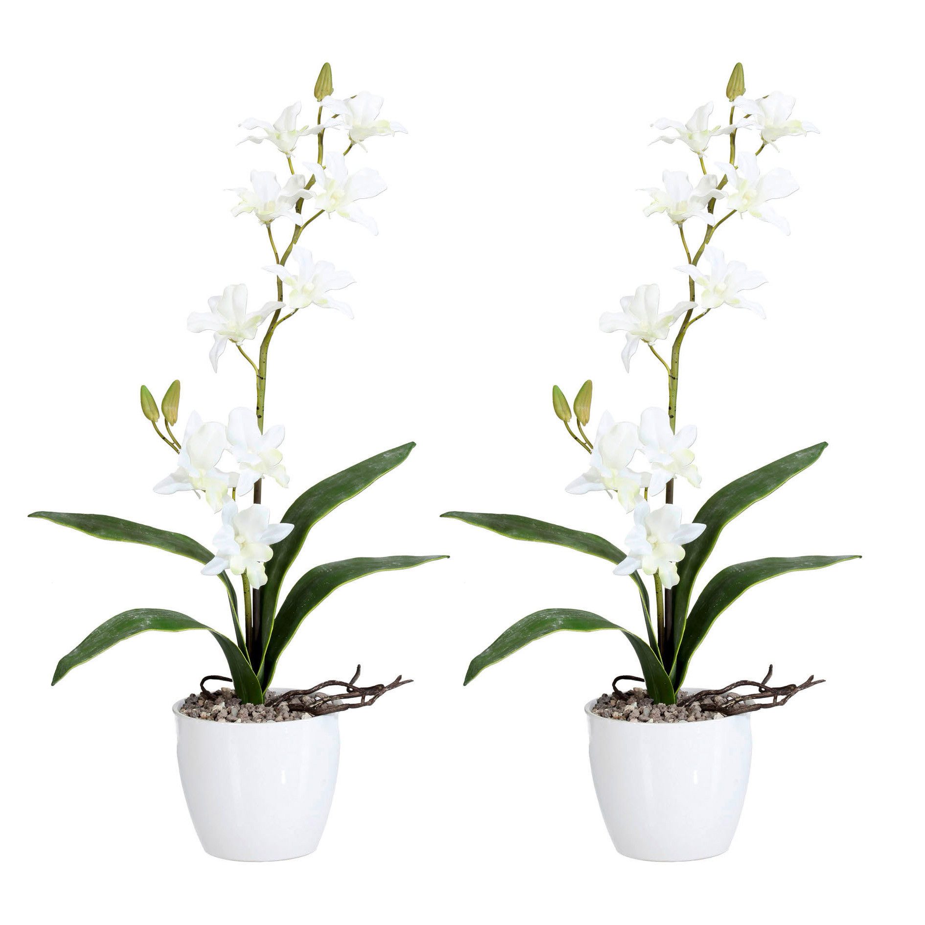 Kunstpflanze 2er Set Orchidee Dendrobie 60cm, weiß, im Keramiktopf weiß