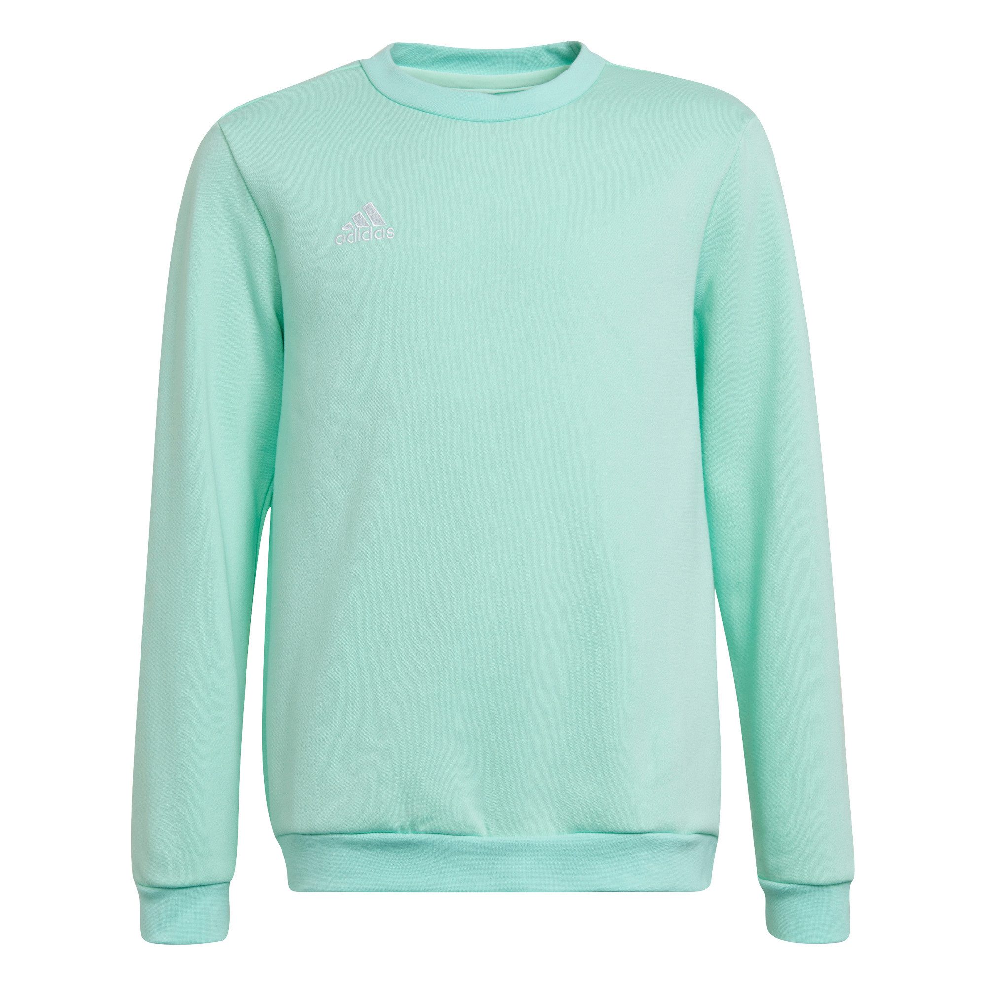 adidas Performance Флисовые adidas Kinder Пуловеры Entrada 22 Sweat Top Youth