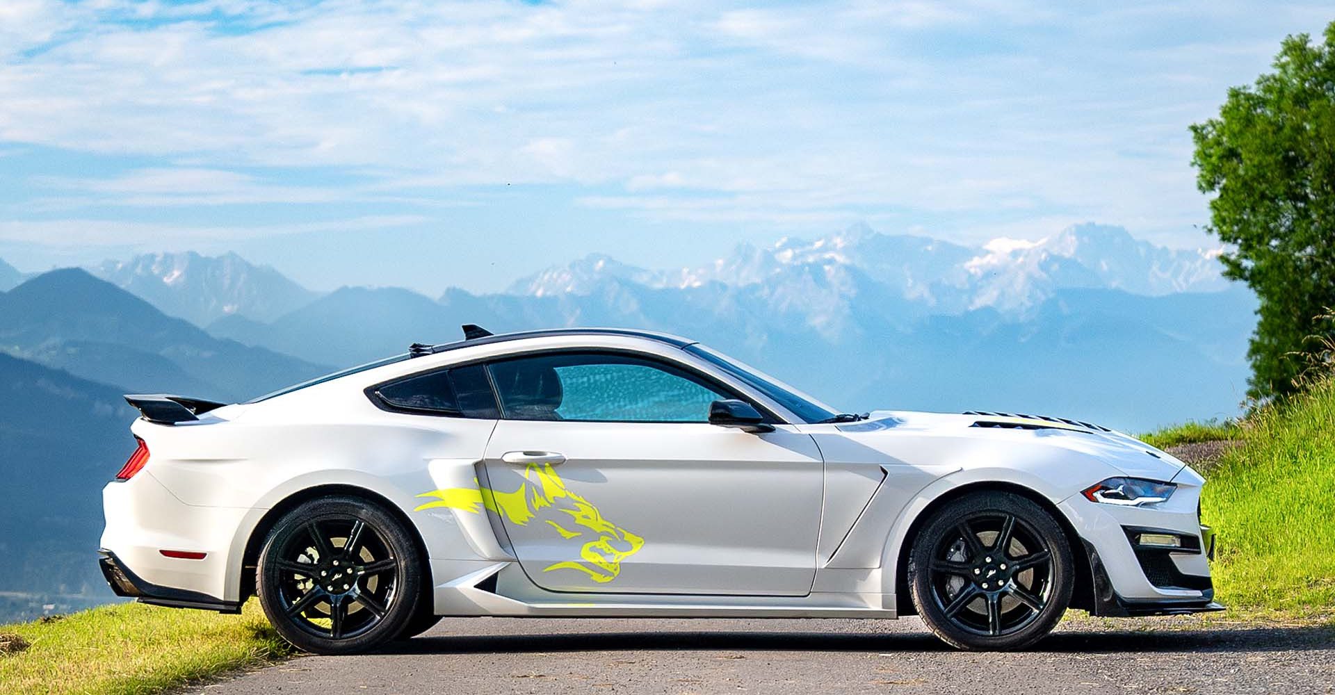 Erlebnisgutschein Ford Mustang Shelby mieten Amtzell (1 Tag)