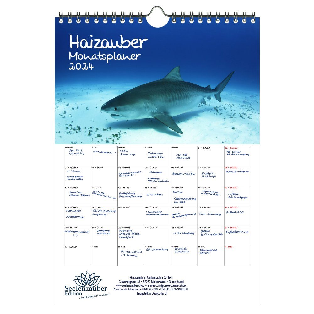 Seelenzauber Wandkalender Haizauber Planer DIN A4 Kalender für 2024 Hai 