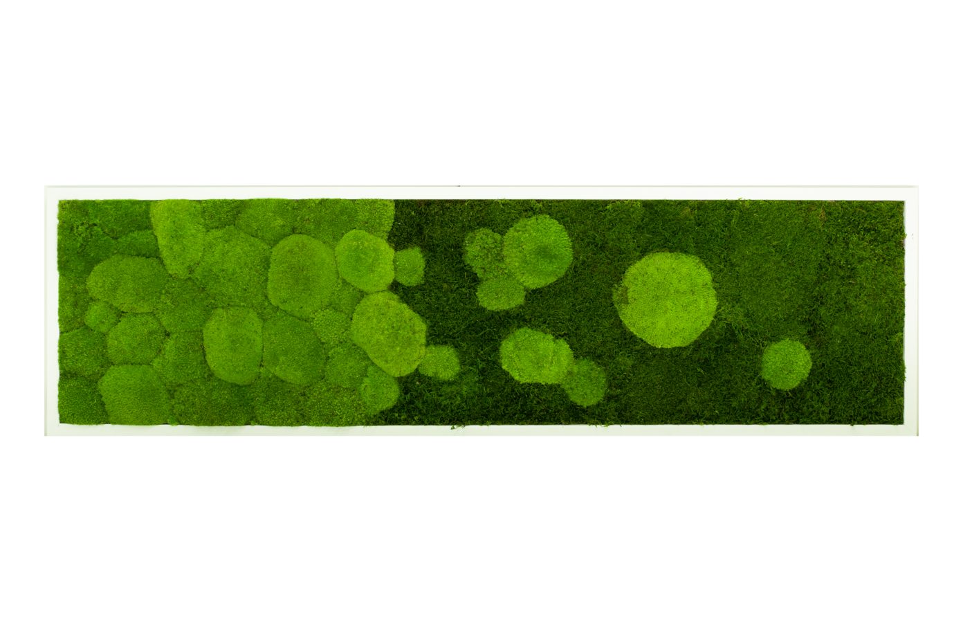 Moos-Design Bilderrahmen Moos Bild River Design günstig online kaufen