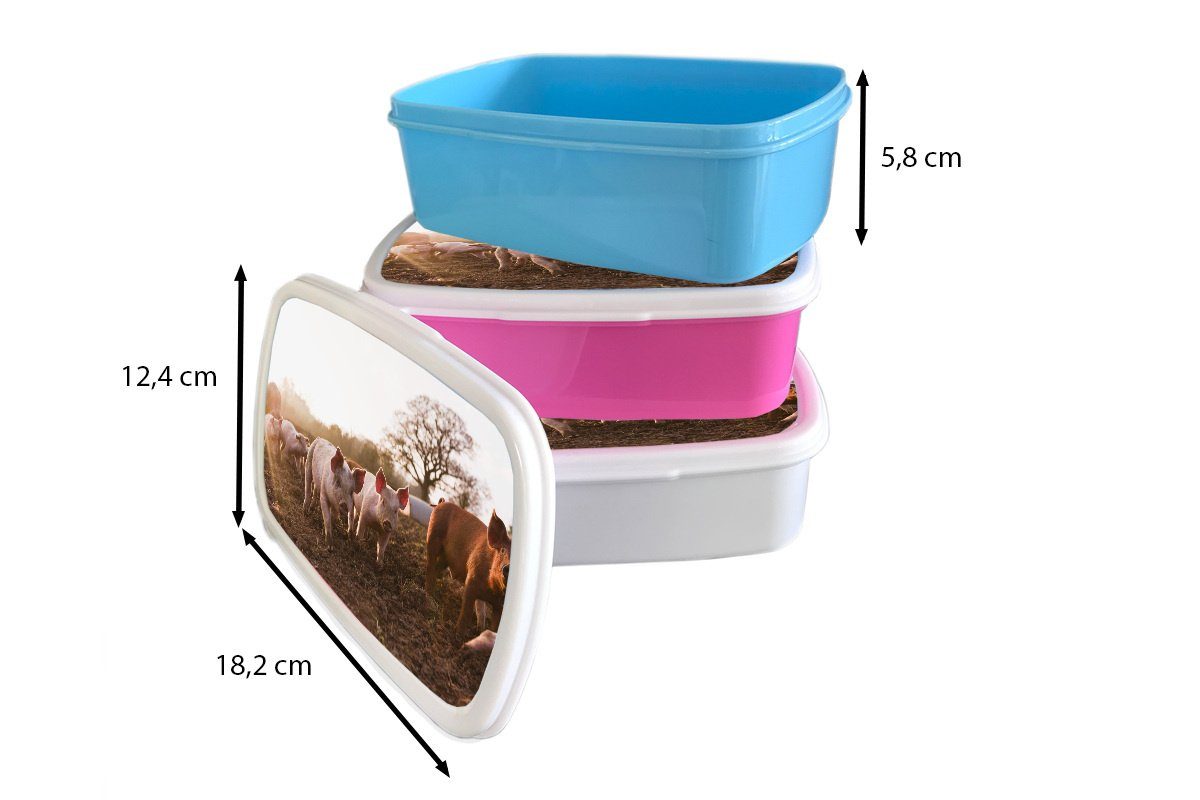 Lunchbox - rosa Kunststoff, Mädchen, Sonne, - Kinder, Schlamm Snackbox, Kunststoff Brotbox Erwachsene, (2-tlg), Brotdose Schwein für MuchoWow