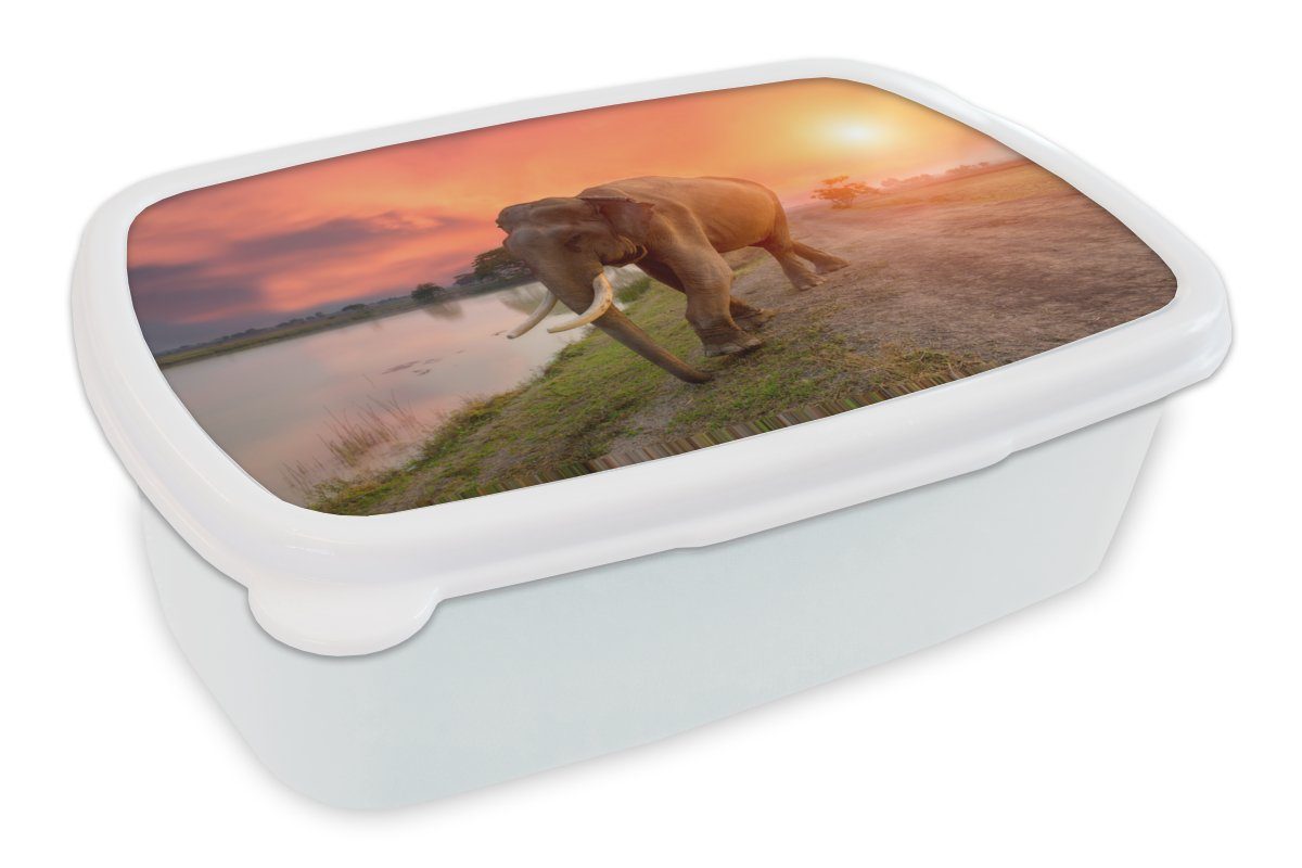 MuchoWow Lunchbox Elefant - Wasser - Tiere - Sonnenuntergang - Natur, Kunststoff, (2-tlg), Brotbox für Kinder und Erwachsene, Brotdose, für Jungs und Mädchen weiß