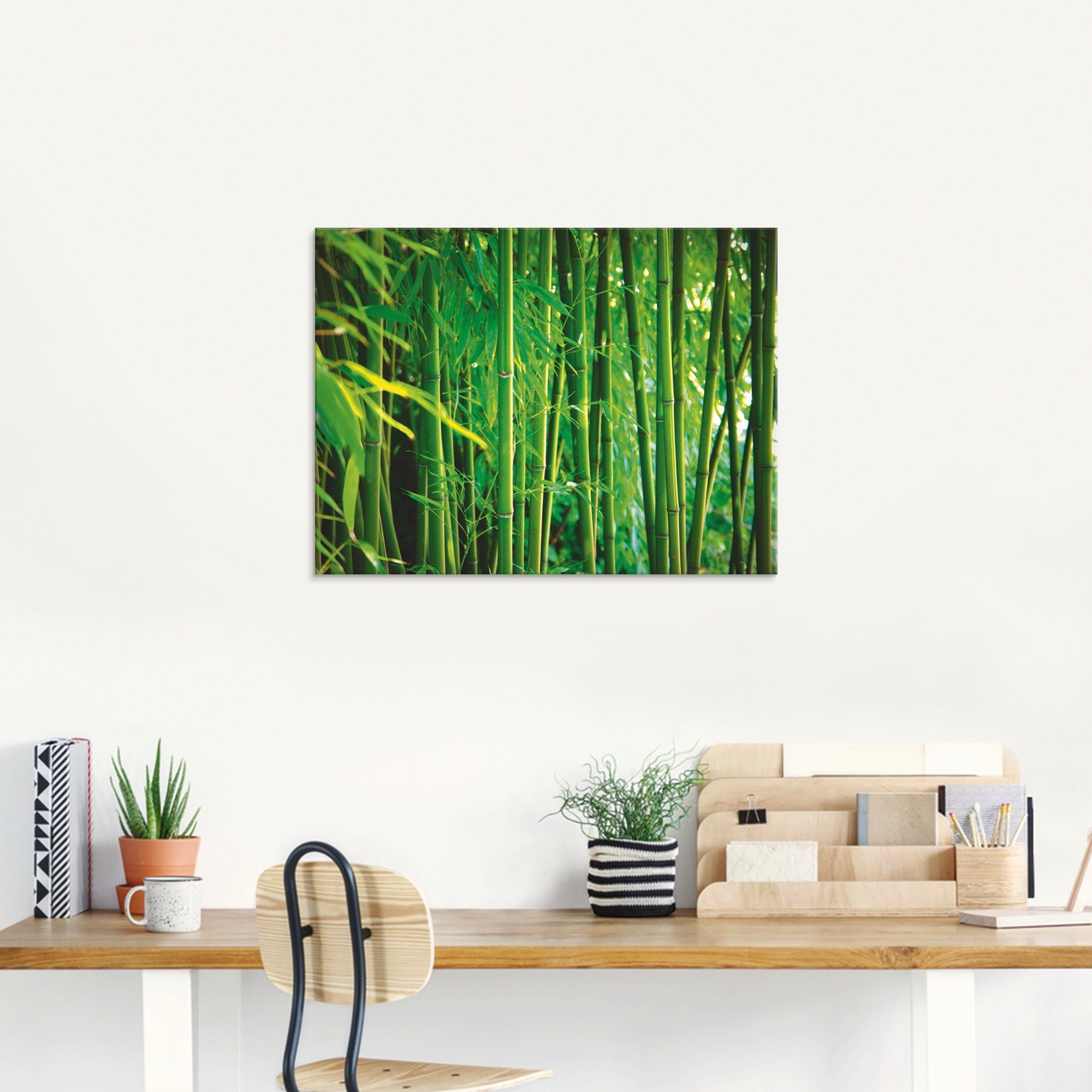 in Bambus, verschiedenen Größen Artland (1 Gräser St), Glasbild