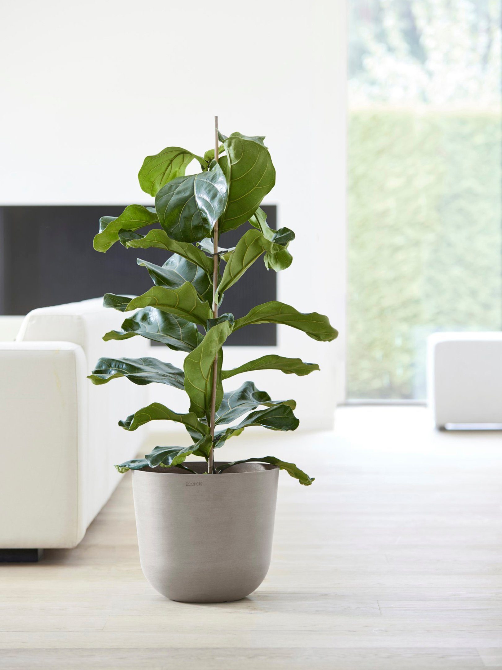 ECOPOTS Blumentopf Oslo 35 Taupe, für günstig online kaufen