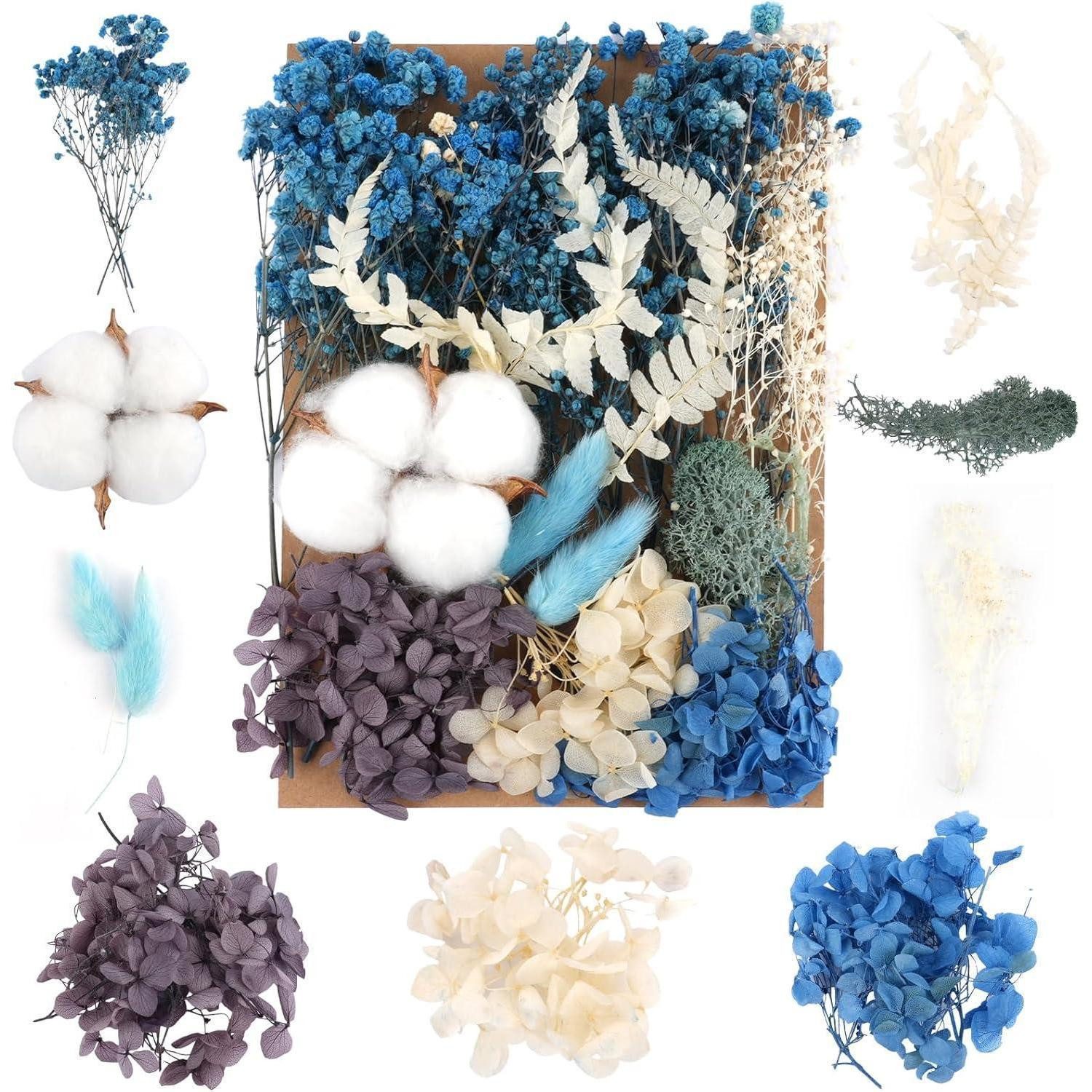 Trockenblume Trockenblumen Gemischt DIY Epoxidharz Scrapbook Blau, LuxusKollektion