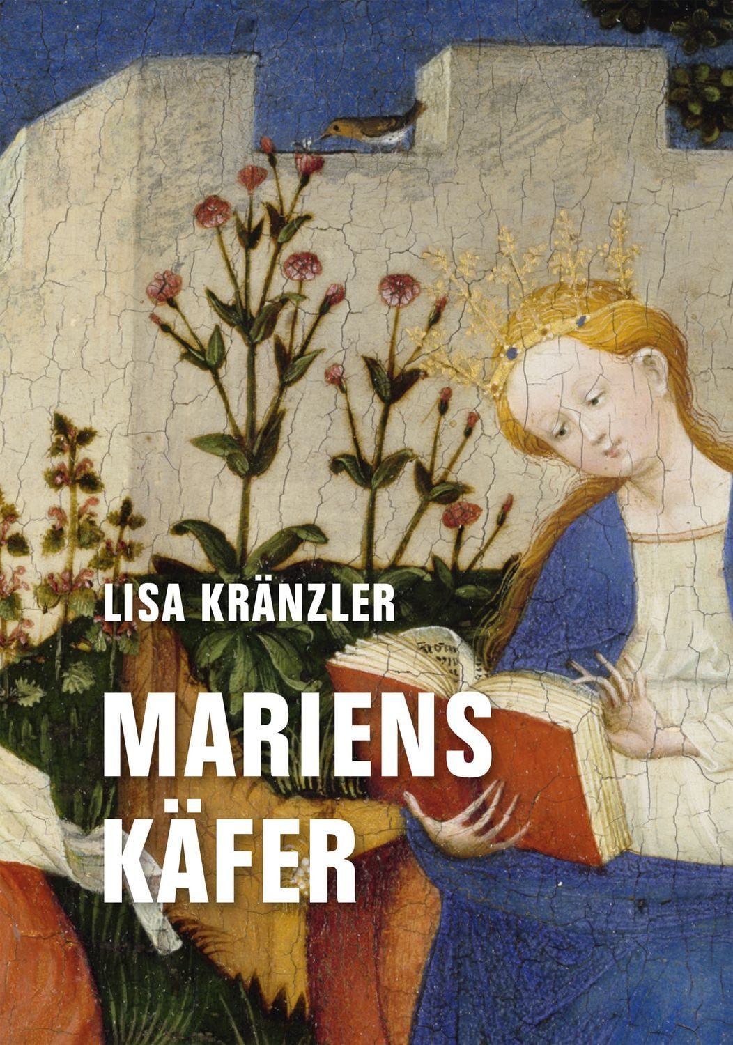 Mariens Käfer / Lisa Kränzler
