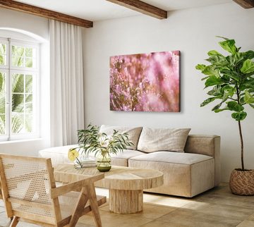 Sinus Art Leinwandbild 120x80cm Wandbild auf Leinwand Besenheide Pflanze Sommer Blumen Sonnen, (1 St)