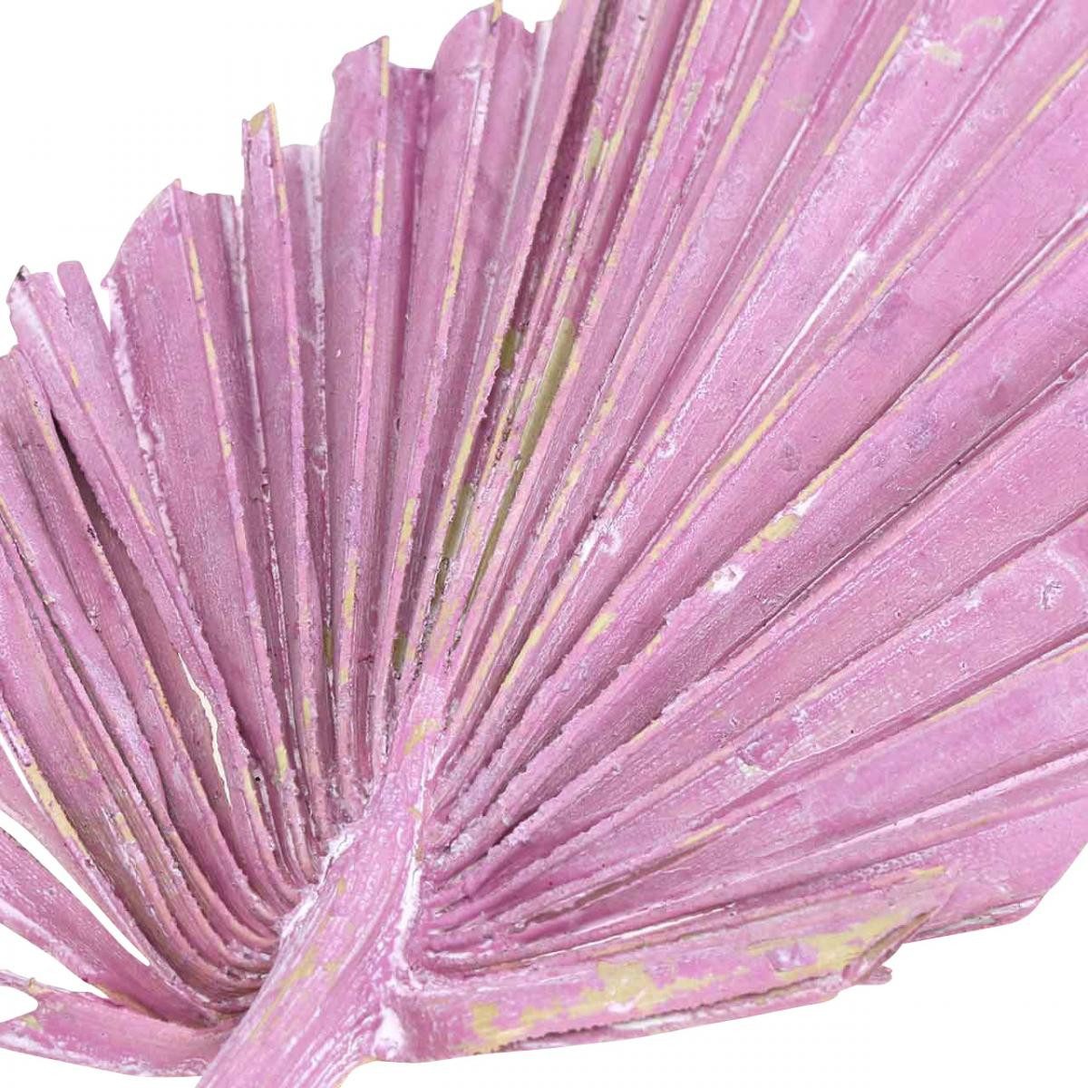 Trockenblume Palmspear Mix Deko-Speer Blätter Rosa Berry & Weiß gewaschen, 65 Stück, Florists Products, Höhe 17 cm