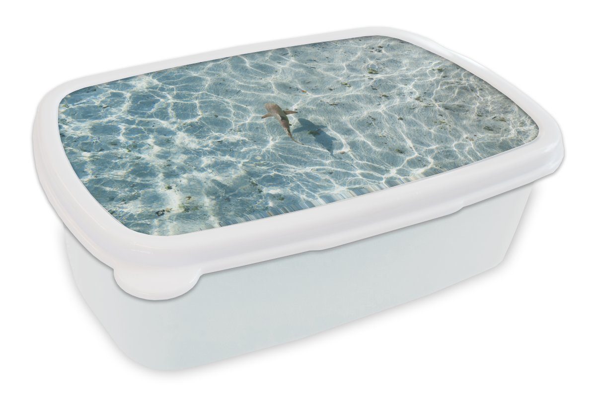 MuchoWow Lunchbox Hai (2-tlg), für im flachen Jungs Kunststoff, Brotdose, weiß Brotbox für Wasser, und Erwachsene, Kinder und Mädchen
