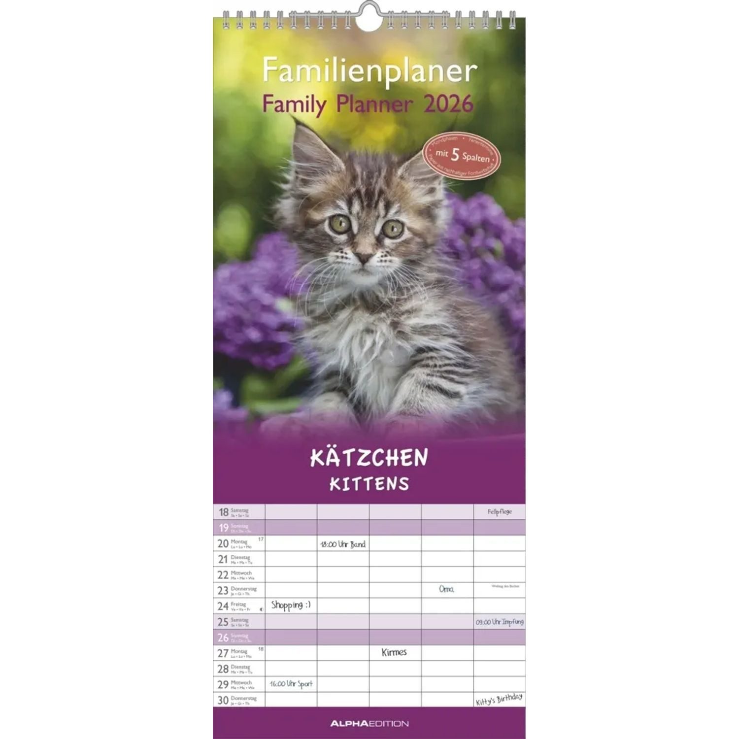 Alpha Edition Wandkalender Alpha Edition - Kätzchen Familienkalender 2026 - Wandkalender...
