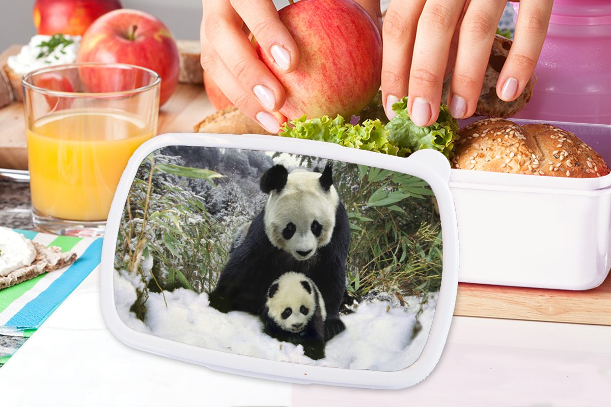 Schnee, für und Brotdose, Lunchbox für Kinder MuchoWow Panda - Kunststoff, weiß Brotbox - Mädchen (2-tlg), und Jungtier Erwachsene, Jungs